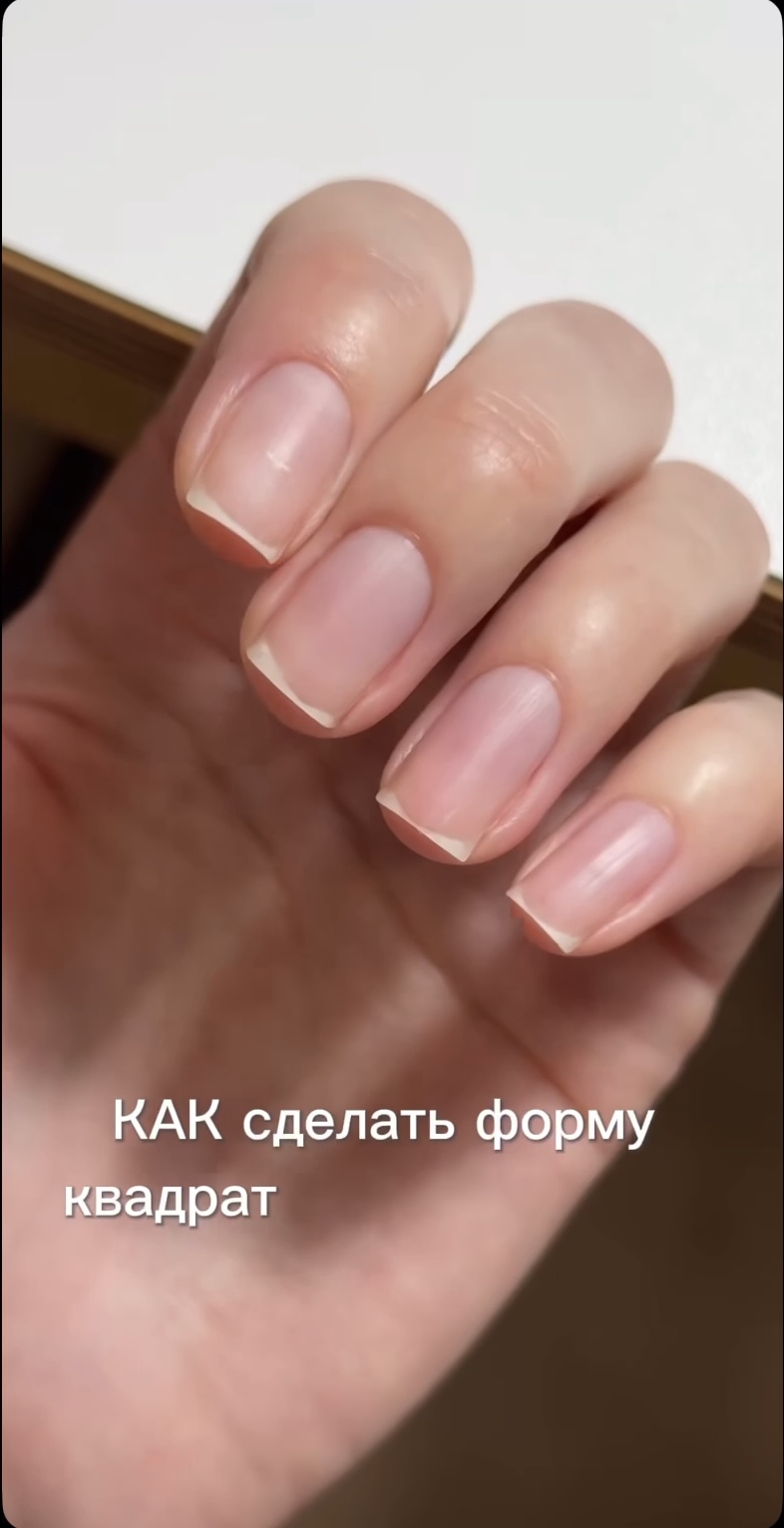 IMG_2501.jpeg