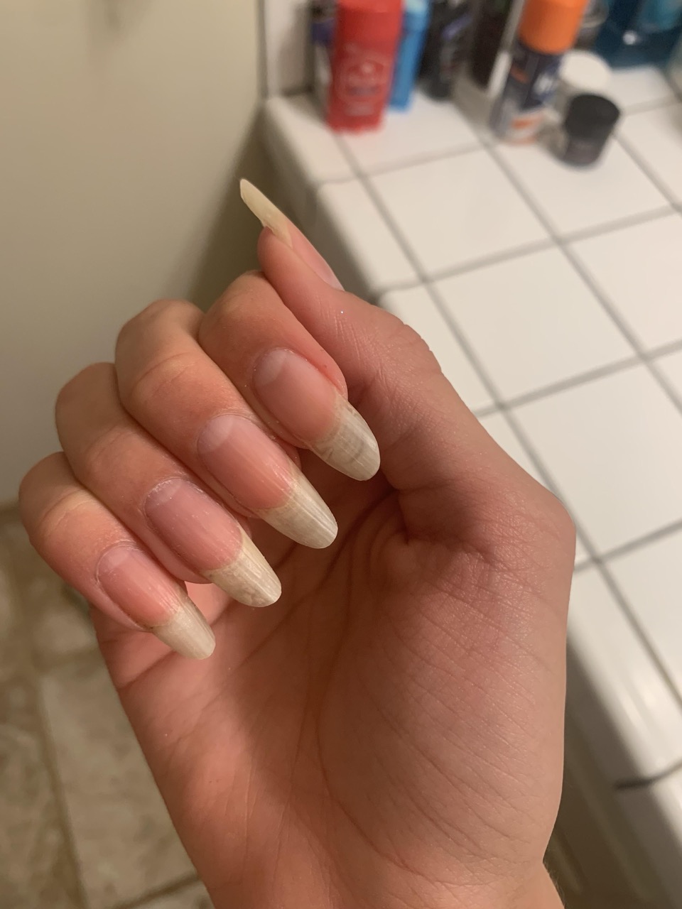 Decided my nails needed a trim , so I reshaped them. (1) Large.jpeg